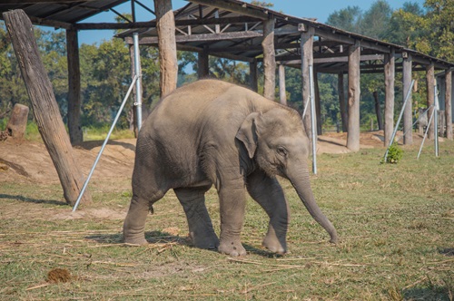 卡帕多奇亞Cappadocia