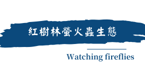行程特色圖片