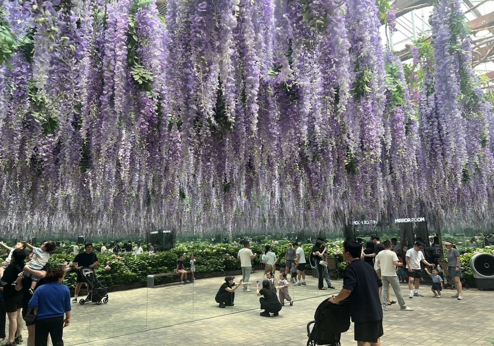 行程特色圖片