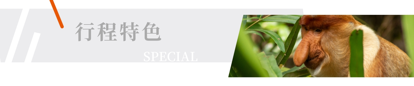 行程特色圖片