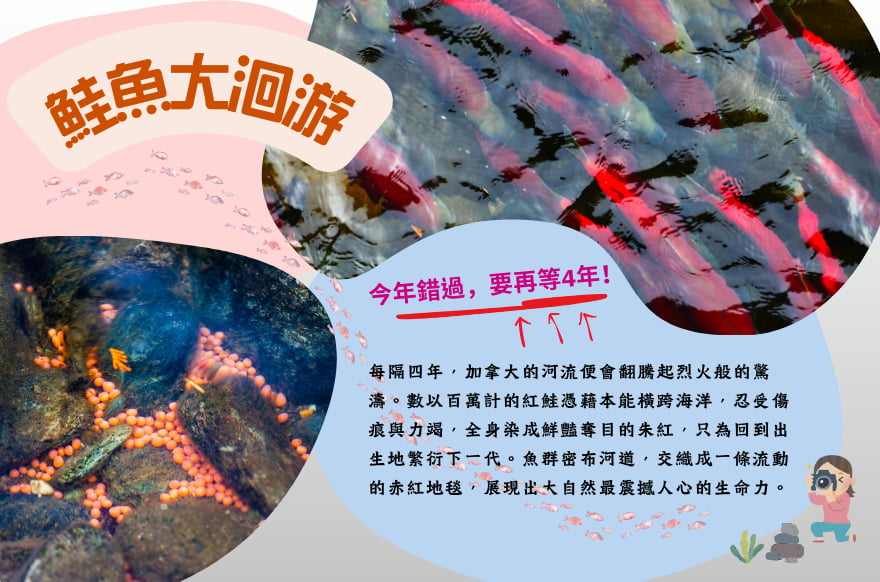 行程特色圖片