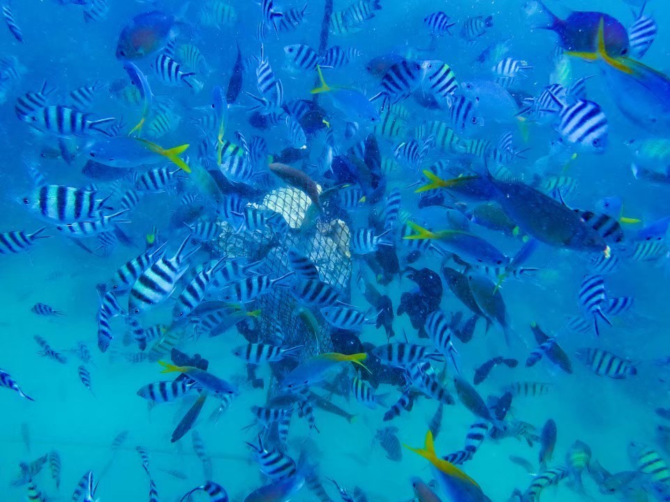行程特色圖片
