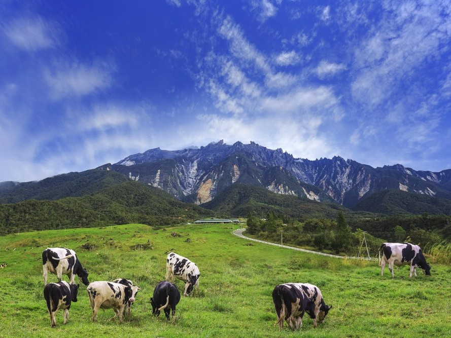 行程特色圖片