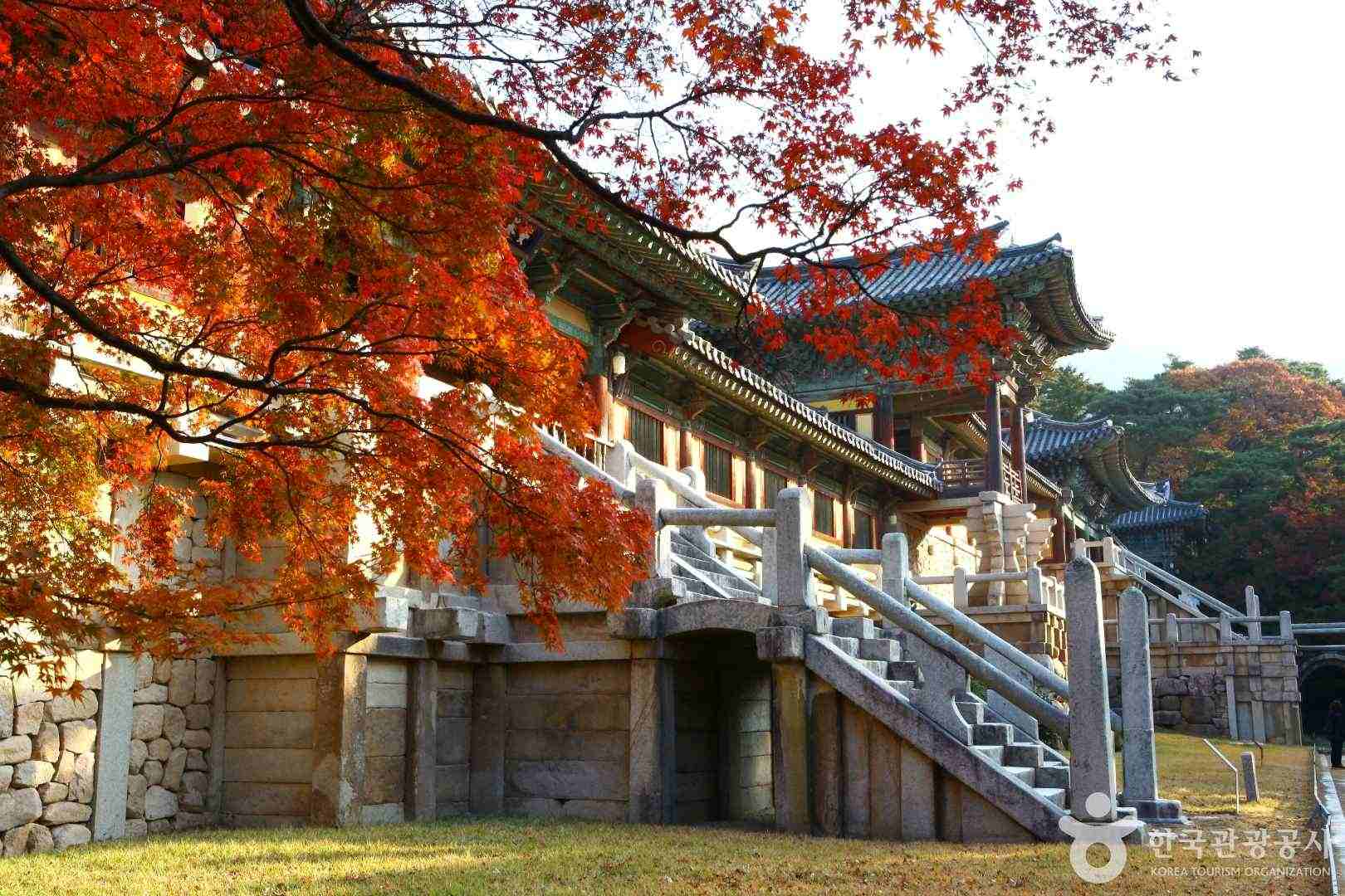 行程特色圖片